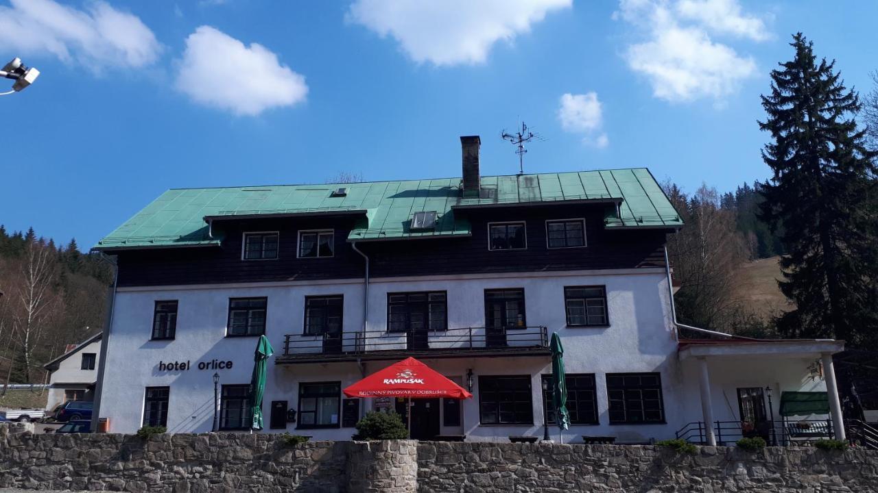 Hotel Orlice Destne v Orlickych horach Extérieur photo